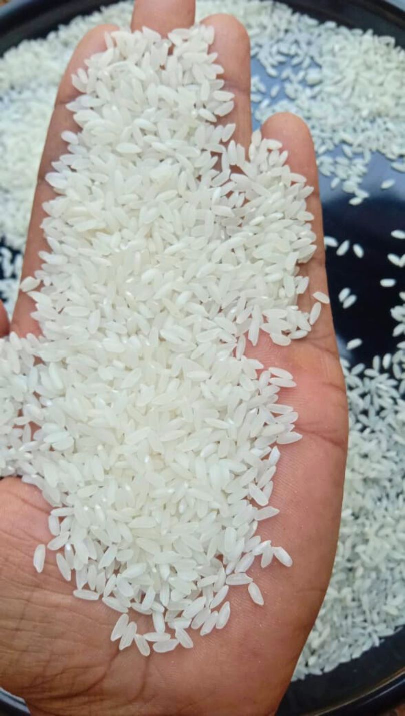 Raw rice export West Bengal India